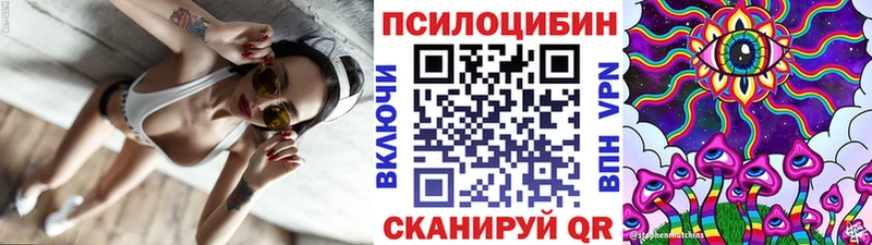 Купить закладки  Рыльск  Псилоцибиновые грибы прущие грибы 